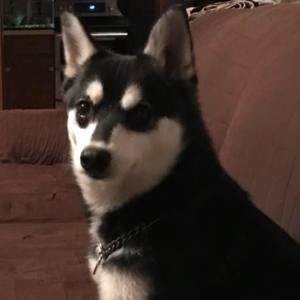 Meet your Posher, Wendy